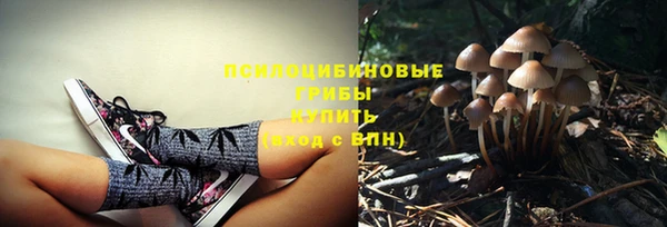 COCAINE Бородино